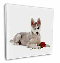 Siberian Husky with Red Rose Square Canvas 12"x12" Wall Art Picture Print