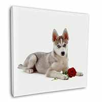 Siberian Husky with Red Rose Square Canvas 12"x12" Wall Art Picture Print