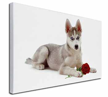 Siberian Husky with Red Rose Canvas X-Large 30"x20" Wall Art Print