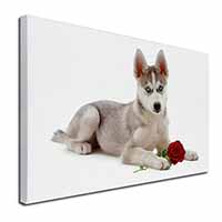 Siberian Husky with Red Rose Canvas X-Large 30"x20" Wall Art Print