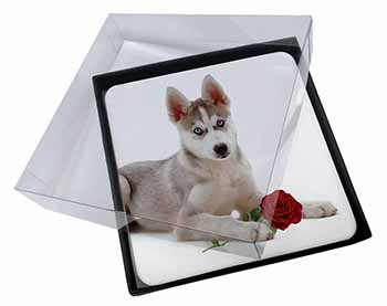 4x Siberian Husky with Red Rose Picture Table Coasters Set in Gift Box