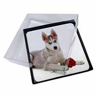 4x Siberian Husky with Red Rose Picture Table Coasters Set in Gift Box