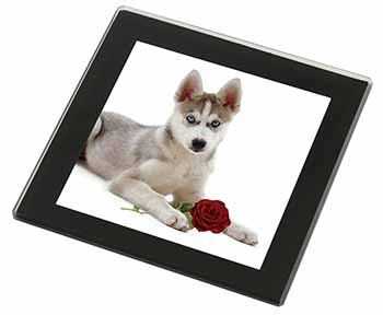 Siberian Husky with Red Rose Black Rim High Quality Glass Coaster