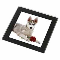 Siberian Husky with Red Rose Black Rim High Quality Glass Coaster