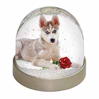 Siberian Husky with Red Rose Snow Globe Photo Waterball