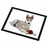 Siberian Husky with Red Rose Black Rim High Quality Glass Placemat