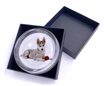 Siberian Husky with Red Rose Glass Paperweight in Gift Box