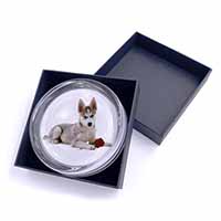 Siberian Husky with Red Rose Glass Paperweight in Gift Box