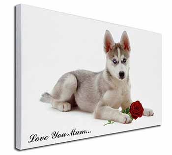 Husky with Red Rose 