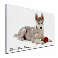 Husky with Red Rose 