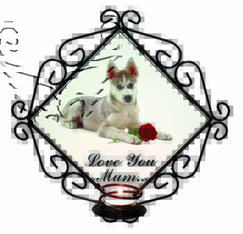 Husky with Red Rose 