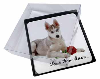 4x Husky with Red Rose 