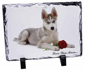 Husky with Red Rose 