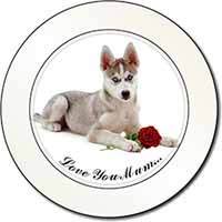 Husky with Red Rose 