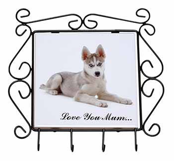 Siberian Husky Dog 