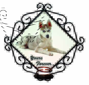 Husky 