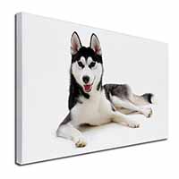 Siberian Husky Dog Canvas X-Large 30"x20" Wall Art Print