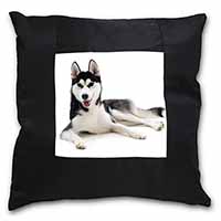 Siberian Husky Dog Black Satin Feel Scatter Cushion