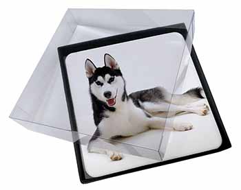 4x Siberian Husky Dog Picture Table Coasters Set in Gift Box