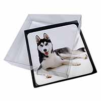 4x Siberian Husky Dog Picture Table Coasters Set in Gift Box