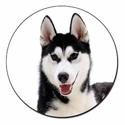 Siberian Husky Dog Fridge Magnet Printed Full Colour