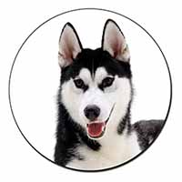 Siberian Husky Dog Fridge Magnet Printed Full Colour