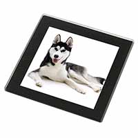 Siberian Husky Dog Black Rim High Quality Glass Coaster