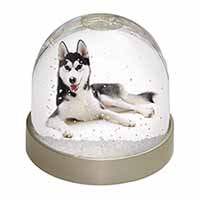 Siberian Husky Dog Snow Globe Photo Waterball