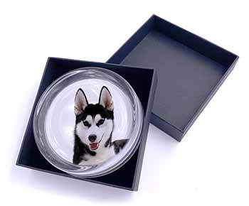 Siberian Husky Dog Glass Paperweight in Gift Box