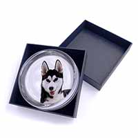 Siberian Husky Dog Glass Paperweight in Gift Box