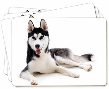 Siberian Husky Dog Picture Placemats in Gift Box