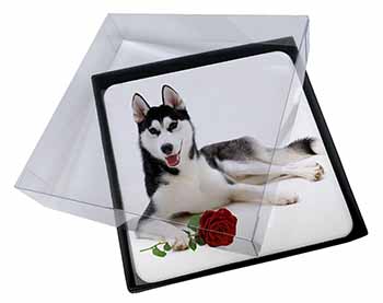 4x Siberian Husky with Red Rose Picture Table Coasters Set in Gift Box
