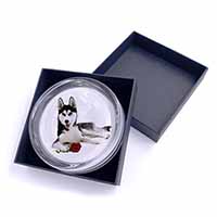 Siberian Husky with Red Rose Glass Paperweight in Gift Box