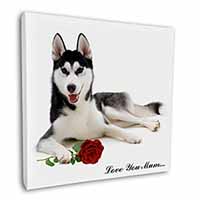 Husky with Rose 