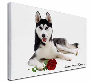 Husky with Rose 