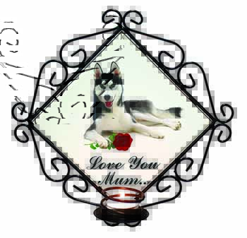 Husky with Rose 