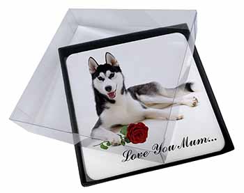 4x Husky with Rose 