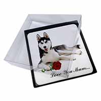 4x Husky with Rose 