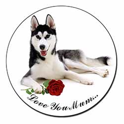 Husky with Rose 