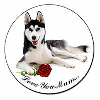 Husky with Rose 