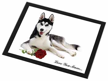 Husky with Rose 