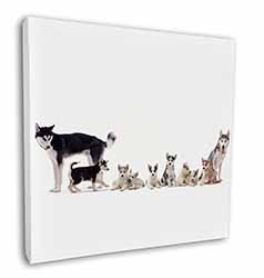 Siberian Huskies Square Canvas 12"x12" Wall Art Picture Print