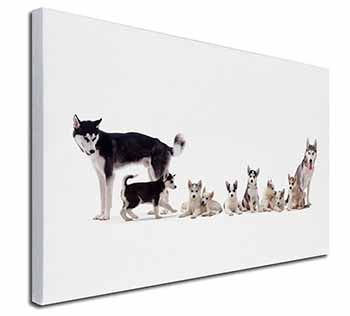 Siberian Huskies Canvas X-Large 30"x20" Wall Art Print