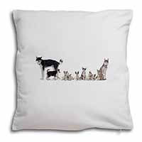 Siberian Huskies Soft White Velvet Feel Scatter Cushion