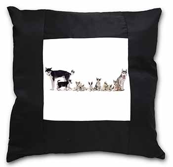 Siberian Huskies Black Satin Feel Scatter Cushion