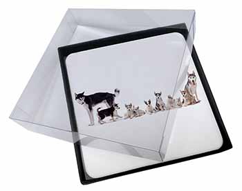 4x Siberian Huskies Picture Table Coasters Set in Gift Box