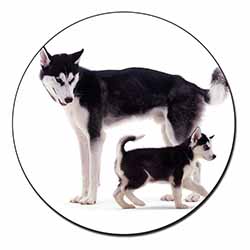 Siberian Huskies Fridge Magnet Printed Full Colour