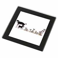 Siberian Huskies Black Rim High Quality Glass Coaster