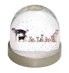 Siberian Huskies Snow Globe Photo Waterball