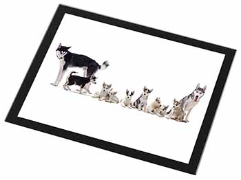 Siberian Huskies Black Rim High Quality Glass Placemat